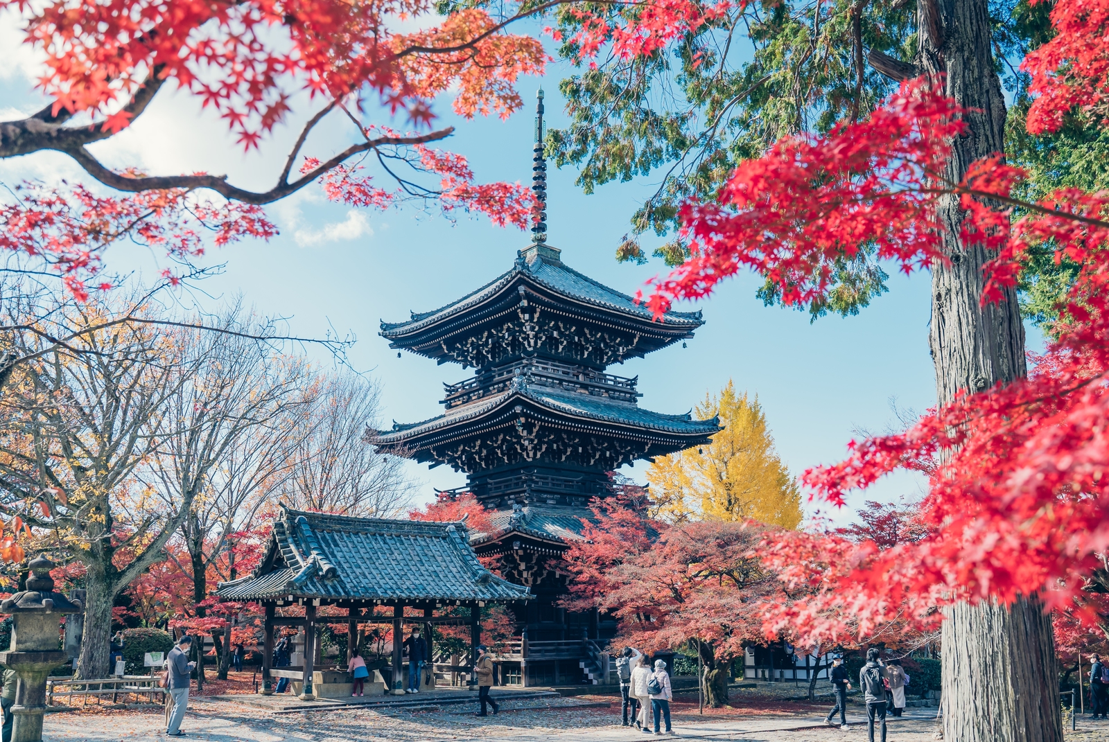 京都　秋